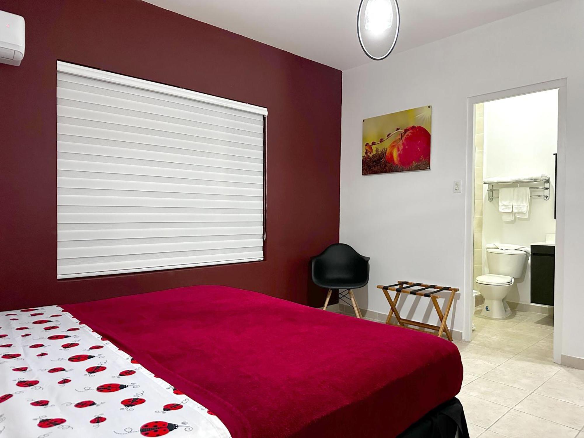 Ladybugs Apartments Palm Beach Extérieur photo