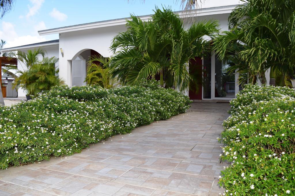 Ladybugs Apartments Palm Beach Extérieur photo